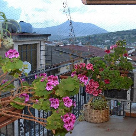 B&B Jolly House Bolognetta Экстерьер фото