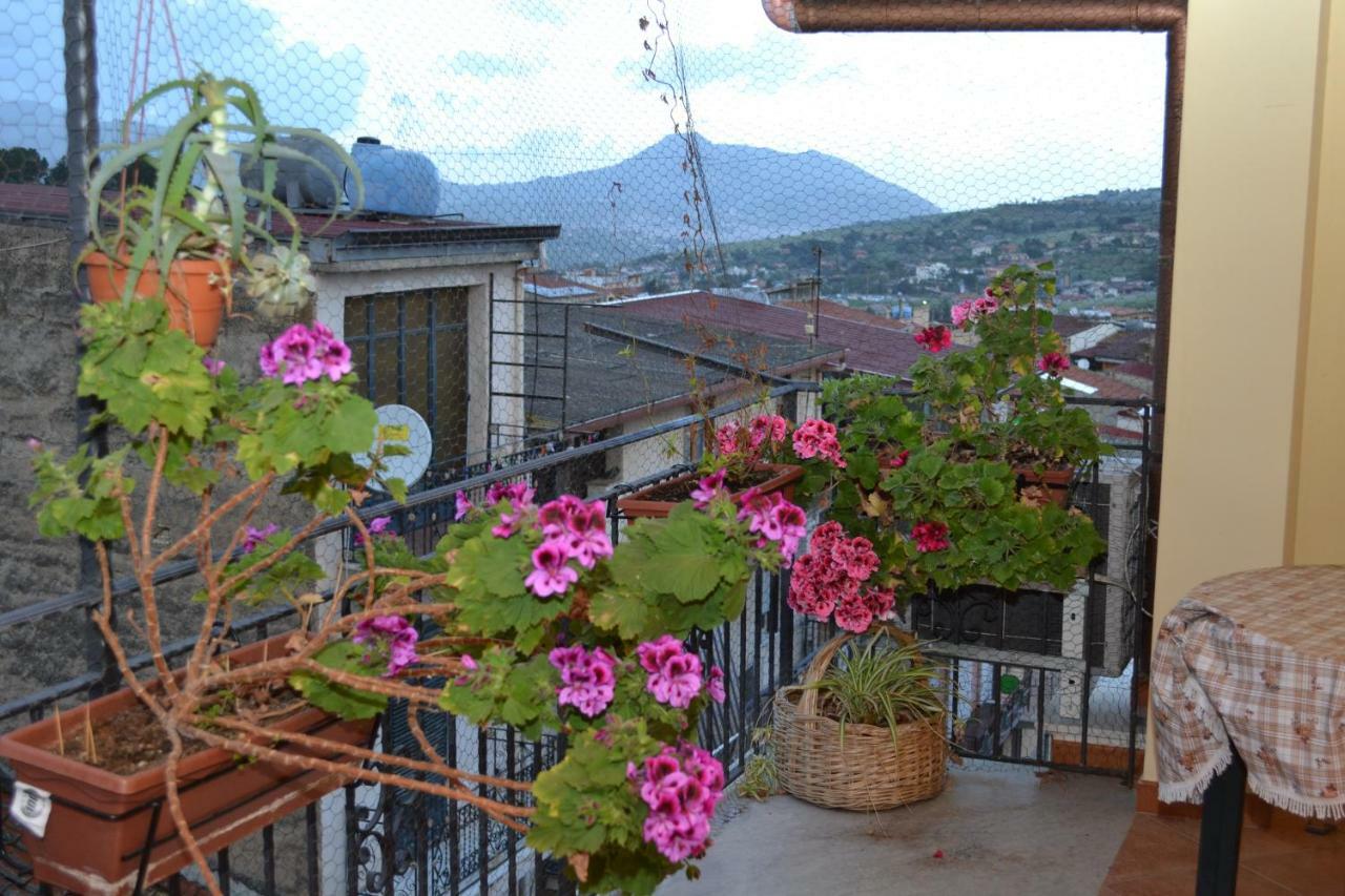 B&B Jolly House Bolognetta Экстерьер фото